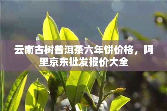 云南古树普洱茶六年饼价格，阿里京东批发报价大全