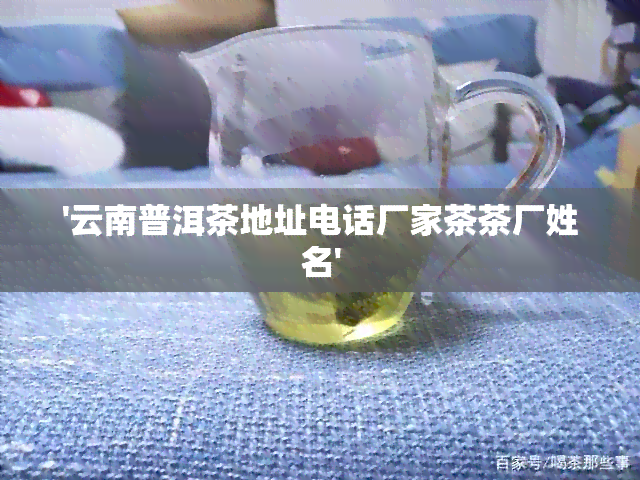 '云南普洱茶地址电话厂家茶茶厂姓名'