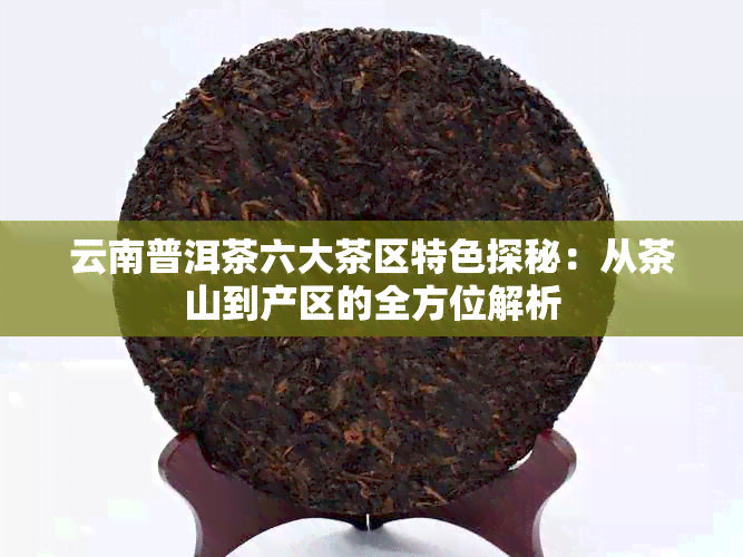 云南普洱茶六大茶区特色探秘：从茶山到产区的全方位解析