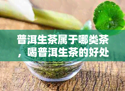 普洱生茶属于哪类茶，喝普洱生茶的好处以及普洱生茶的分类是什么？