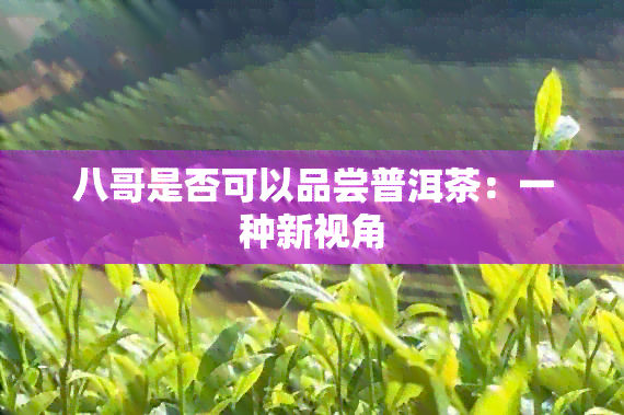 八哥是否可以品尝普洱茶：一种新视角