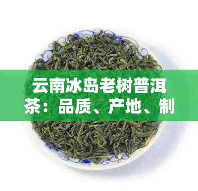 云南冰岛老树普洱茶：品质、产地、制作工艺与品饮技巧的全面解析