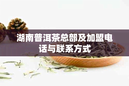 湖南普洱茶总部及加盟电话与联系方式