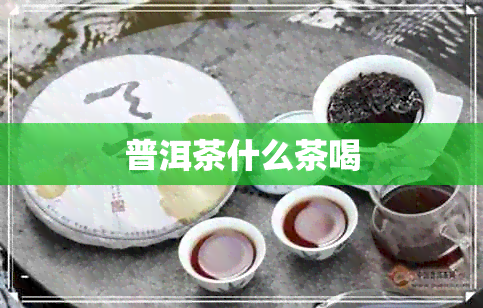 普洱茶什么茶喝