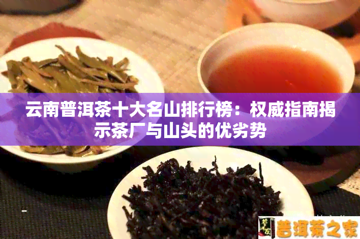 云南普洱茶十大名山排行榜：权威指南揭示茶厂与山头的优劣势