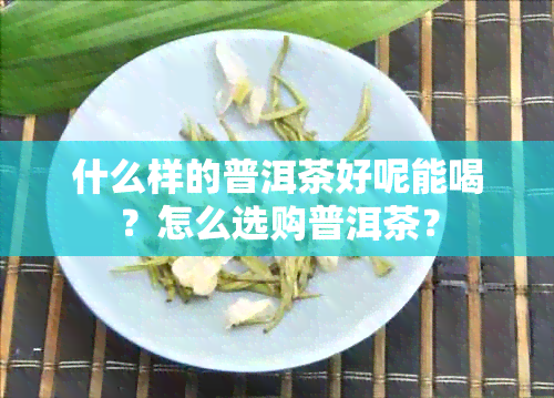 什么样的普洱茶好呢能喝？怎么选购普洱茶？