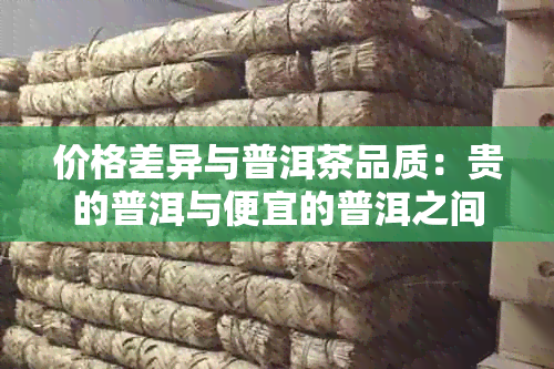 价格差异与普洱茶品质：贵的普洱与便宜的普洱之间的奥秘