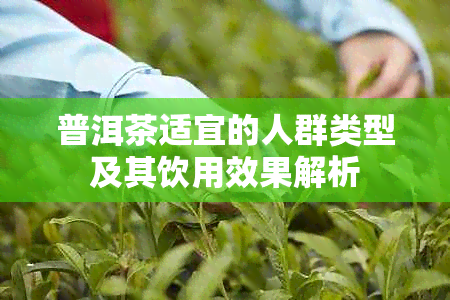 普洱茶适宜的人群类型及其饮用效果解析