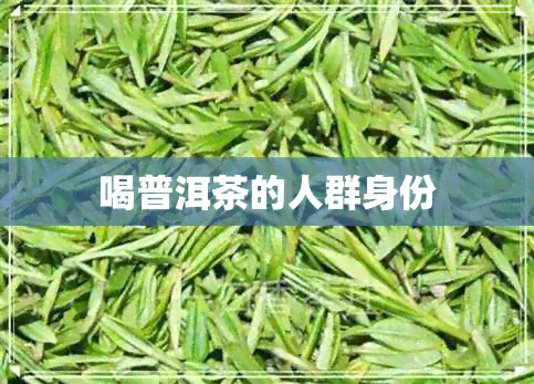 喝普洱茶的人群身份