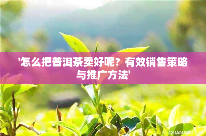 '怎么把普洱茶卖好呢？有效销售策略与推广方法'