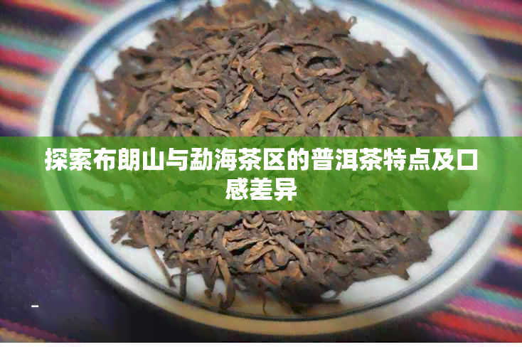 探索布朗山与勐海茶区的普洱茶特点及口感差异