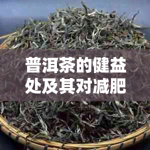 普洱茶的健益处及其对减肥的影响：一项深入研究