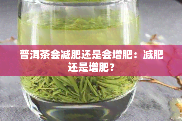 普洱茶会减肥还是会增肥：减肥还是增肥？