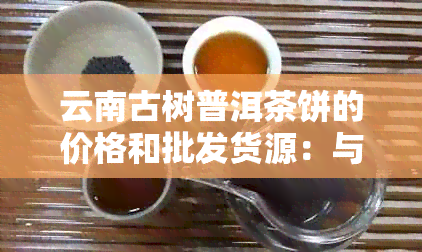 云南古树普洱茶饼的价格和批发货源：与供应商详解