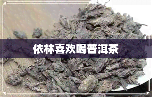 依林喜欢喝普洱茶