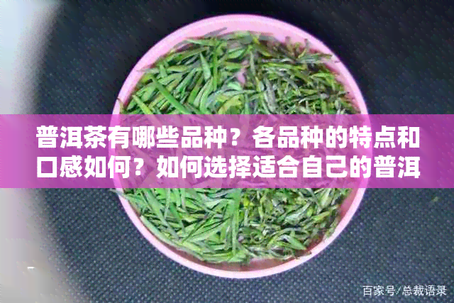 普洱茶有哪些品种？各品种的特点和口感如何？如何选择适合自己的普洱茶？