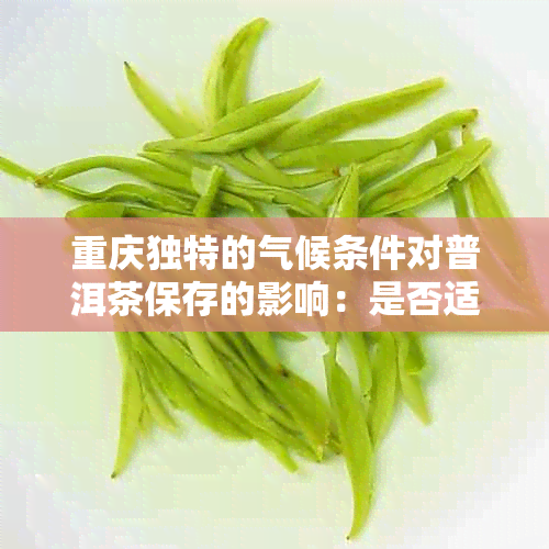 重庆独特的气候条件对普洱茶保存的影响：是否适合存放普洱茶？