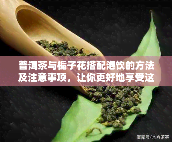 普洱茶与栀子花搭配泡饮的方法及注意事项，让你更好地享受这杯茶的美味