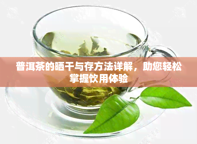 普洱茶的晒干与存方法详解，助您轻松掌握饮用体验