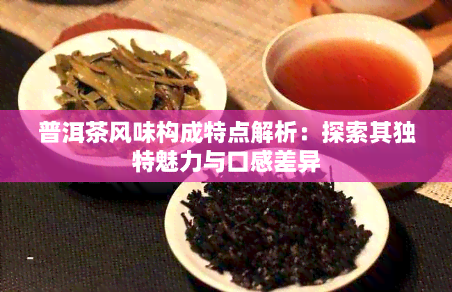 普洱茶风味构成特点解析：探索其独特魅力与口感差异