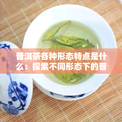 普洱茶各种形态特点是什么：探索不同形态下的普洱茶特征