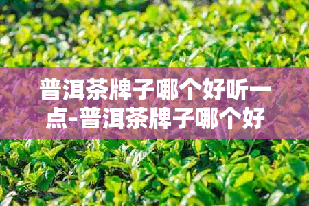 普洱茶牌子哪个好听一点-普洱茶牌子哪个好听一点的