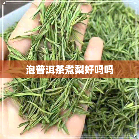 泡普洱茶煮梨好吗吗