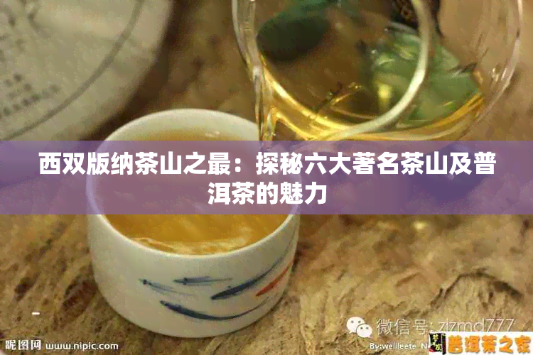 西双版纳茶山之最：探秘六大著名茶山及普洱茶的魅力