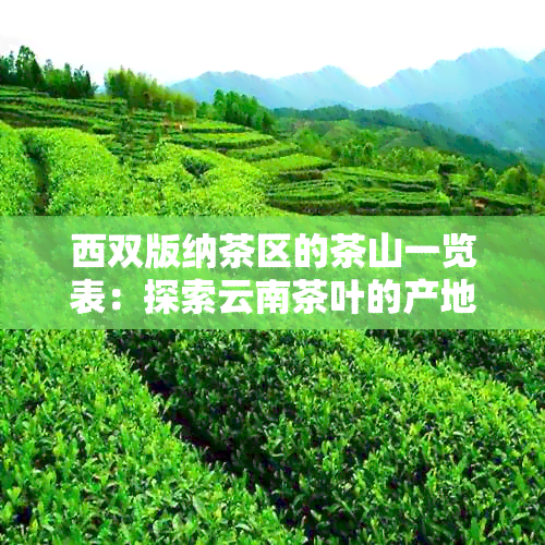 西双版纳茶区的茶山一览表：探索云南茶叶的产地与特色