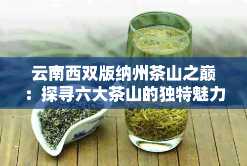 云南西双版纳州茶山之巅：探寻六大茶山的独特魅力