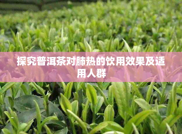 探究普洱茶对肺热的饮用效果及适用人群