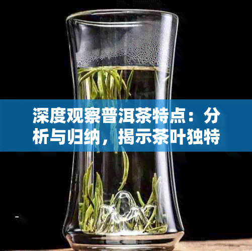 深度观察普洱茶特点：分析与归纳，揭示茶叶独特魅力