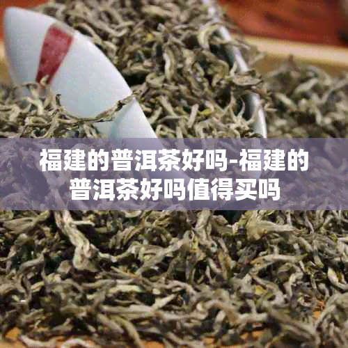 福建的普洱茶好吗-福建的普洱茶好吗值得买吗