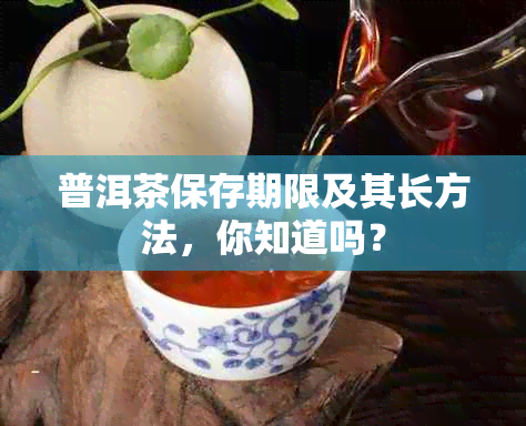 普洱茶保存期限及其长方法，你知道吗？