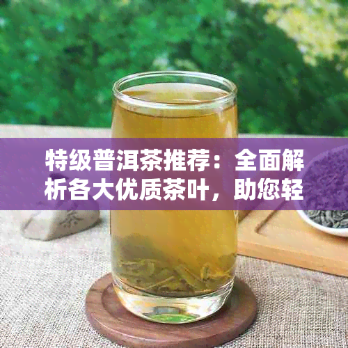 特级普洱茶推荐：全面解析各大优质茶叶，助您轻松挑选最适合的茶叶品种