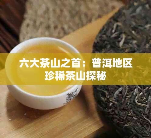 六大茶山之首：普洱地区珍稀茶山探秘