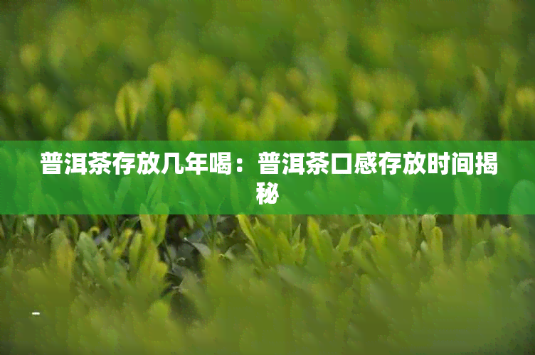 普洱茶存放几年喝：普洱茶口感存放时间揭秘