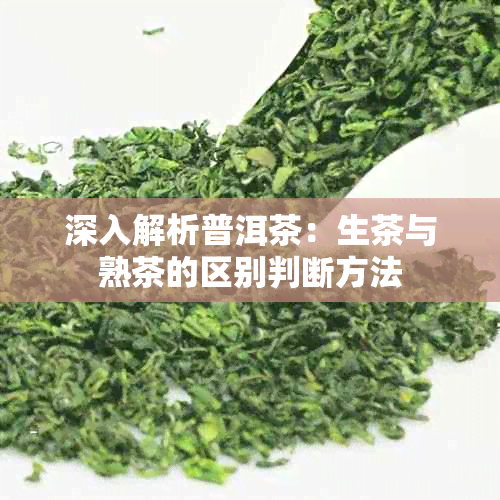 深入解析普洱茶：生茶与熟茶的区别判断方法