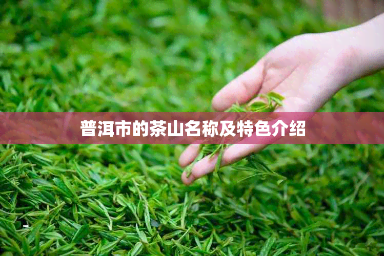 普洱市的茶山名称及特色介绍