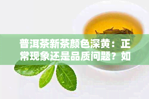 普洱茶新茶颜色深黄：正常现象还是品质问题？如何辨别与选购优质普洱茶？