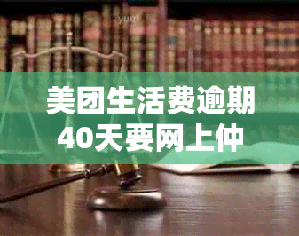 美团生活费逾期40天要网上仲裁吗？安全合法解决方案和起诉时长