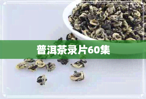 普洱茶录片60集