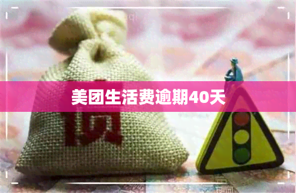 美团生活费逾期40天