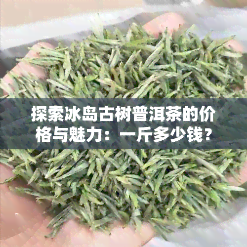 探索冰岛古树普洱茶的价格与魅力：一斤多少钱？