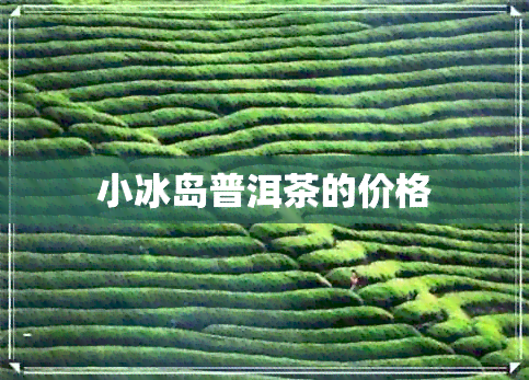 小冰岛普洱茶的价格