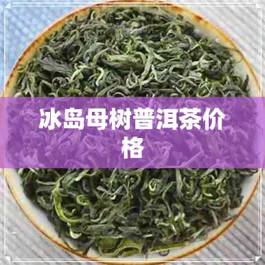 冰岛母树普洱茶价格