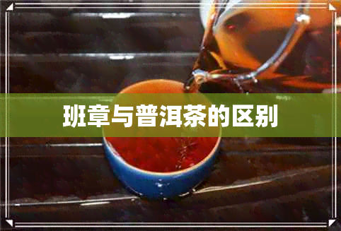 班章与普洱茶的区别