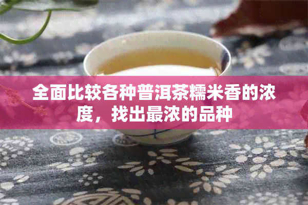 全面比较各种普洱茶糯米香的浓度，找出最浓的品种