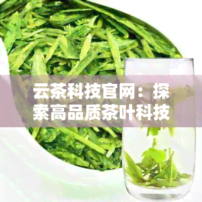 云茶科技官网：探索高品质茶叶科技，品味数字化茶艺的魅力