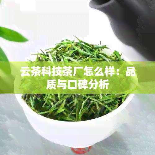 云茶科技茶厂怎么样：品质与口碑分析